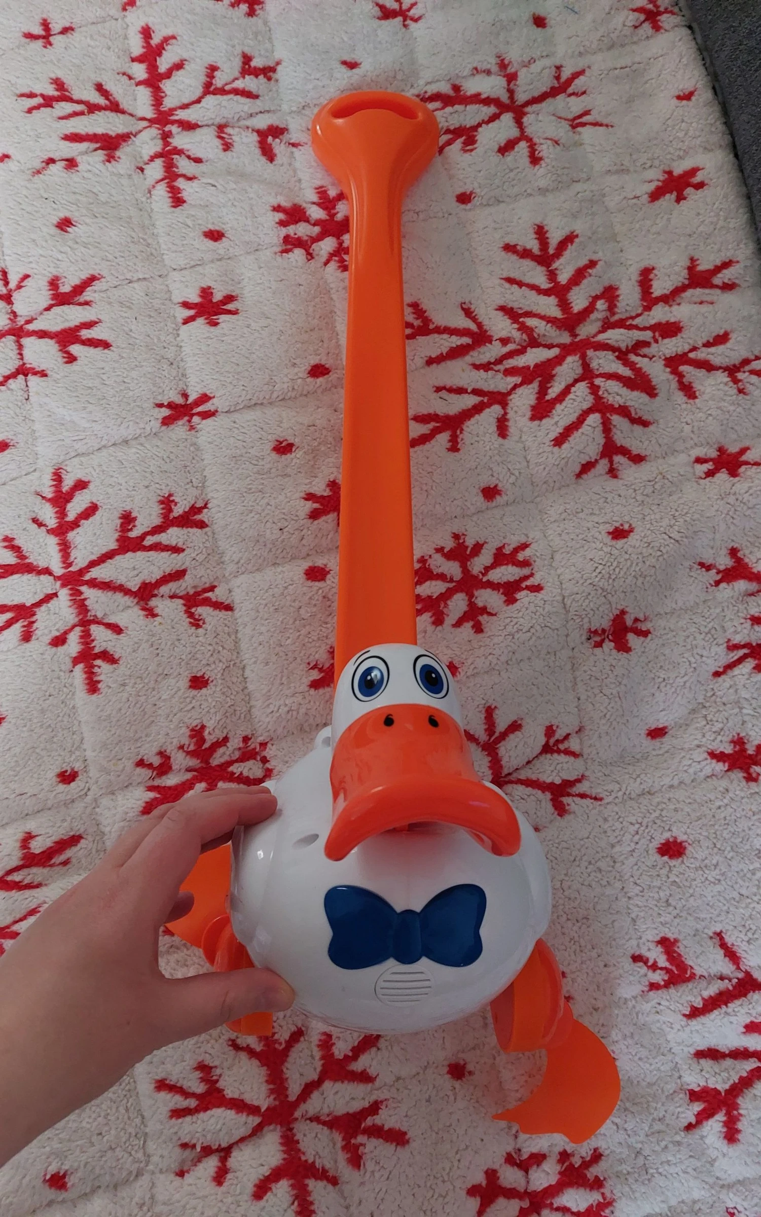Canard à pousser